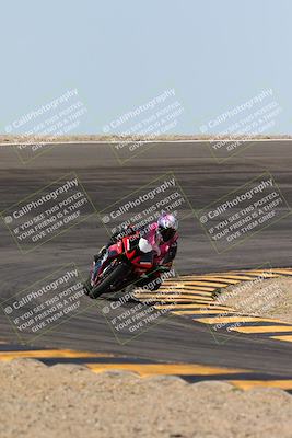 media/Mar-09-2024-SoCal Trackdays (Sat) [[bef1deb9bf]]/1-Bowl Exit (940am)/